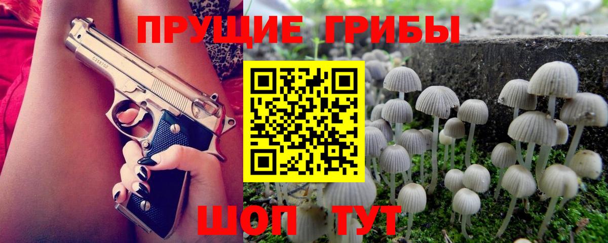 Псилоцибиновые грибы Cubensis Лянтор