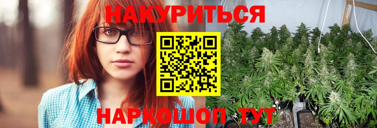 Каннабис планчик  Конопля семена  Вход с VPN  Канабис THC 21%  Лянтор 